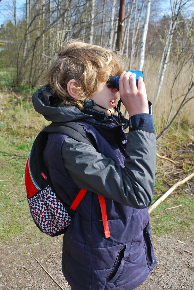 Toilet Paper Roll Binoculars